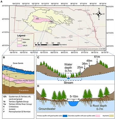 The combined impact of redcedar encroachment and climate change on water resources in the Nebraska Sand Hills
